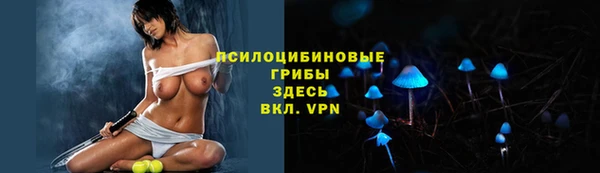 соль ск Бронницы