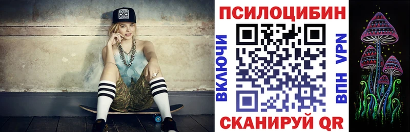 Псилоцибиновые грибы Cubensis  МЕГА ONION  Петрозаводск  купить наркоту 